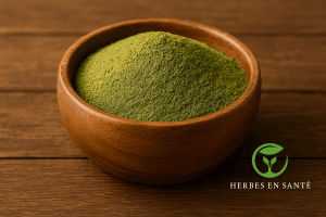 Maté Photo réaliste d’un bol en bois rempli de feuilles séchées de yerba maté, plante traditionnelle riche en antioxydants et énergisante naturelle