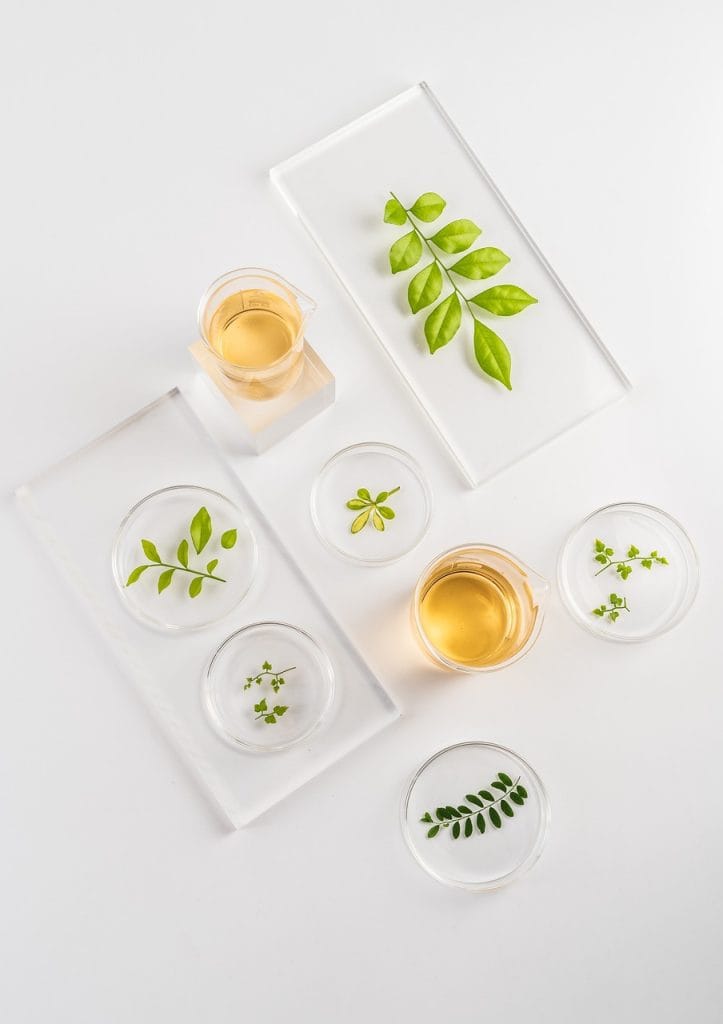 oil, nature, medicinal, healthy, herbs, plant, organic