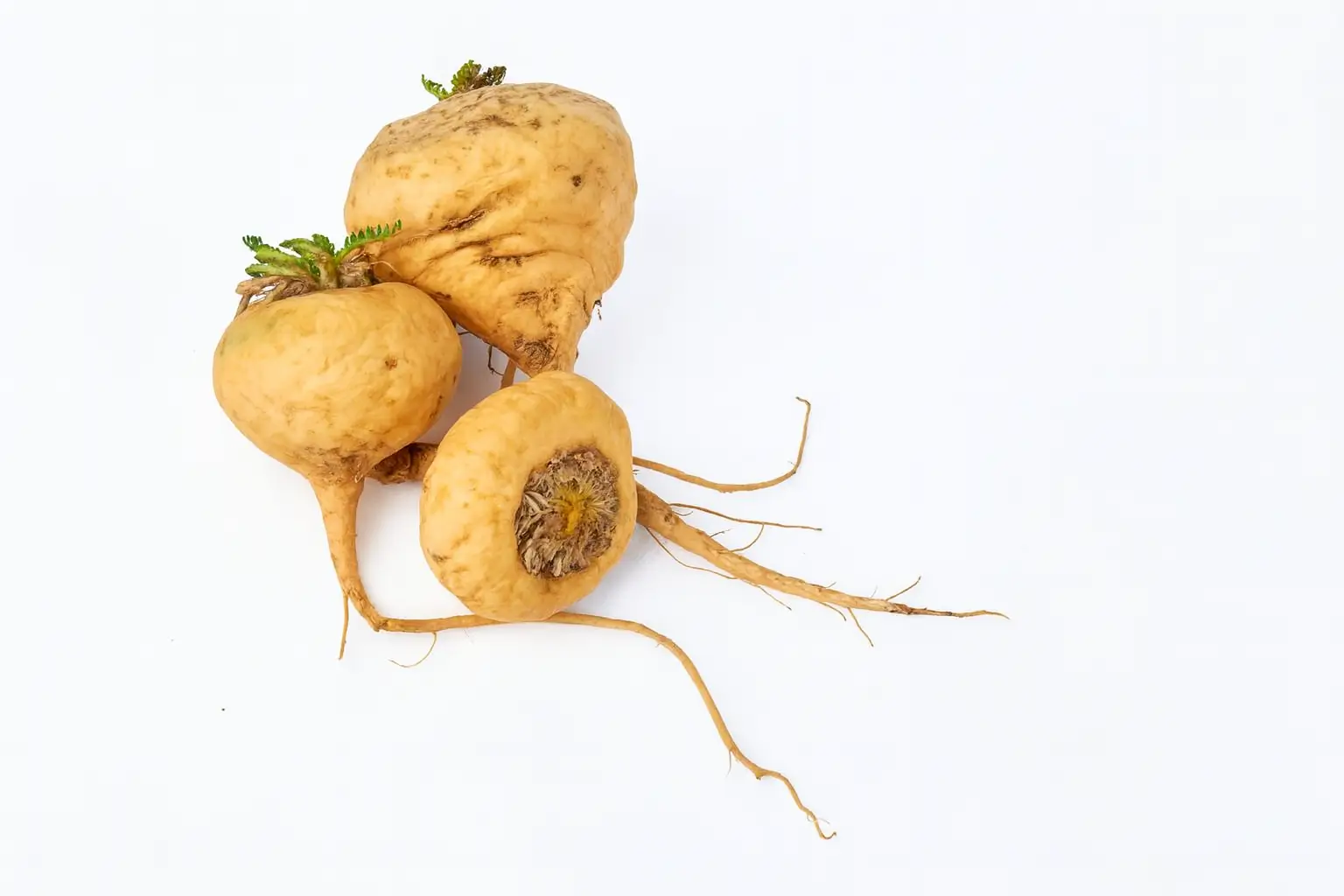 maca racines fraiches 1200x800
